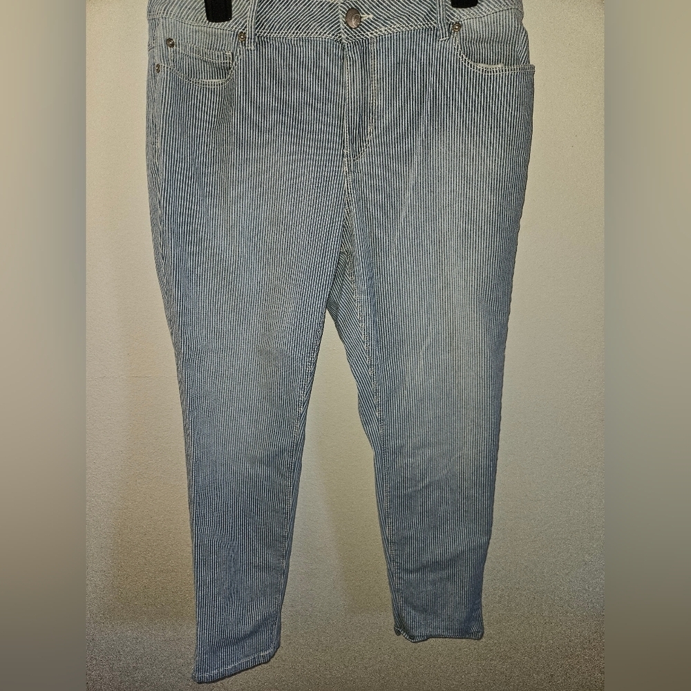 C Est. 1946 Denim Classic Striped Jeans Size 12p